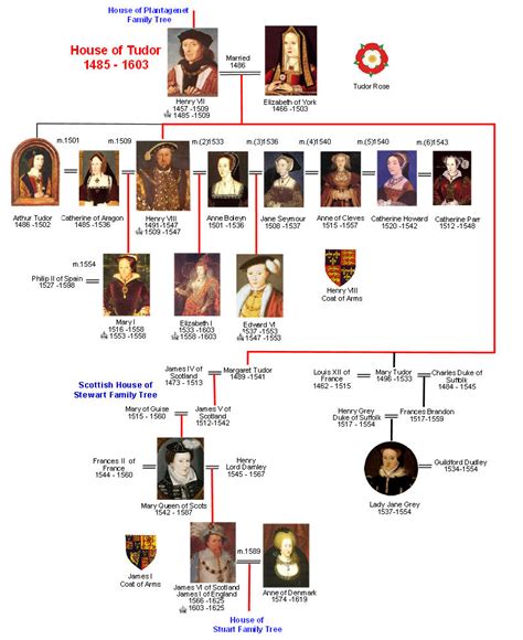 the tudor line